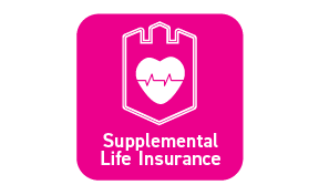 Life Insurance